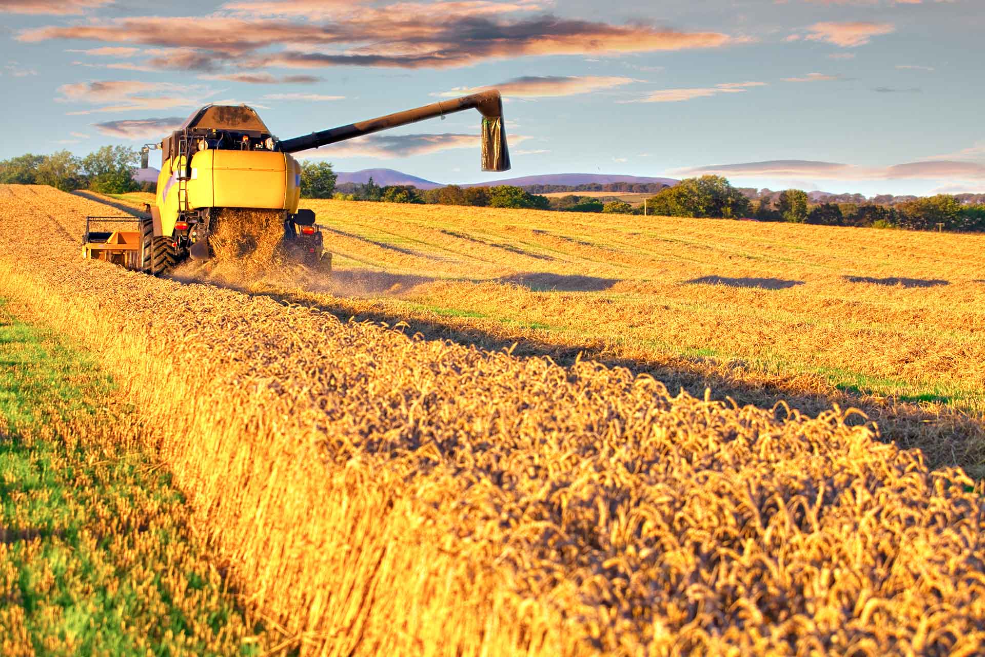 Forst- & Landwirtschaft